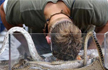 Watch: Shane Warne bitten by anaconda on Australian reality show